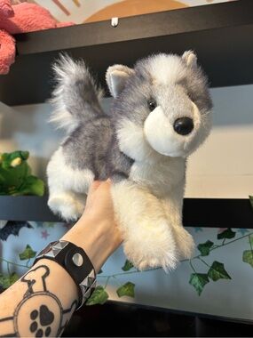 Douglas / Bass pro Joli husky